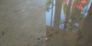 National Floor Solution - Marble & Natural Stone Polishing - Miami, Fort Lauderdale, West Palm Beach